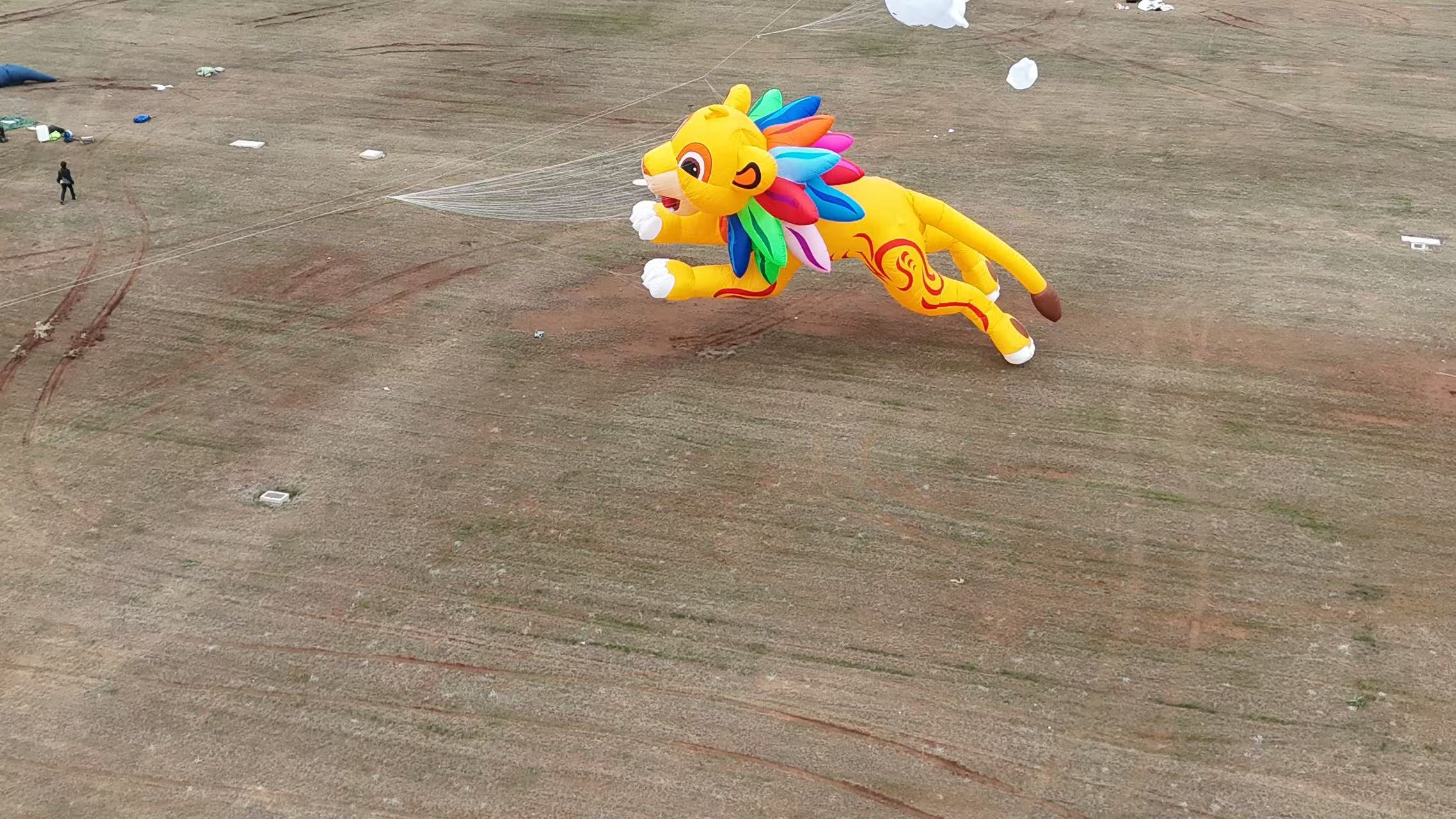 平凉市品牌风筝定制风筝放飞活动策划 - 一站式服务